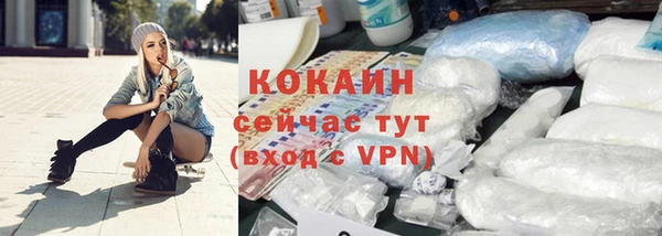 шишки Медногорск
