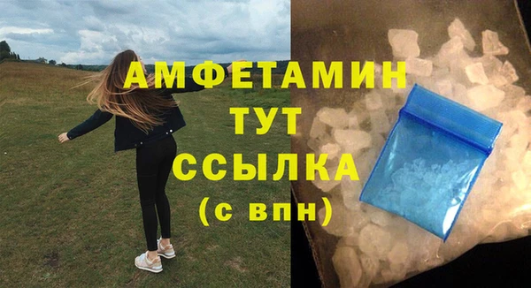 крисы Медвежьегорск