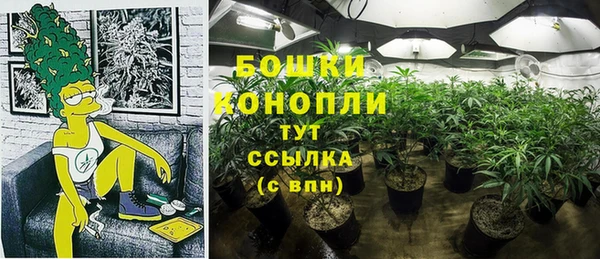 амф Сосновка