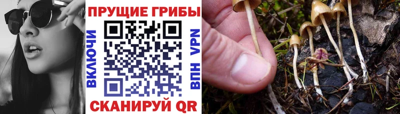 Галлюциногенные грибы GOLDEN TEACHER  Кизел 